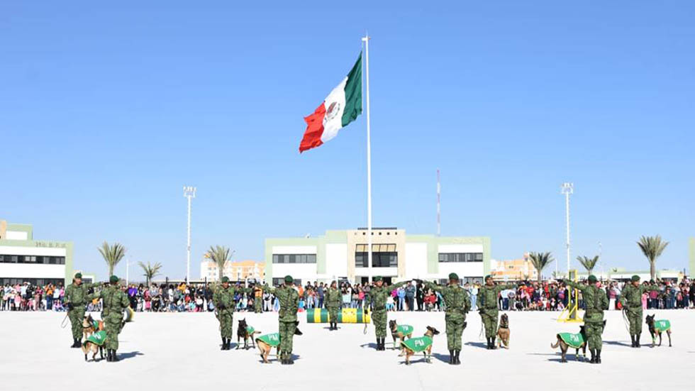 Sedena tendrá que revelar proveedores, servicios y pagos por obras