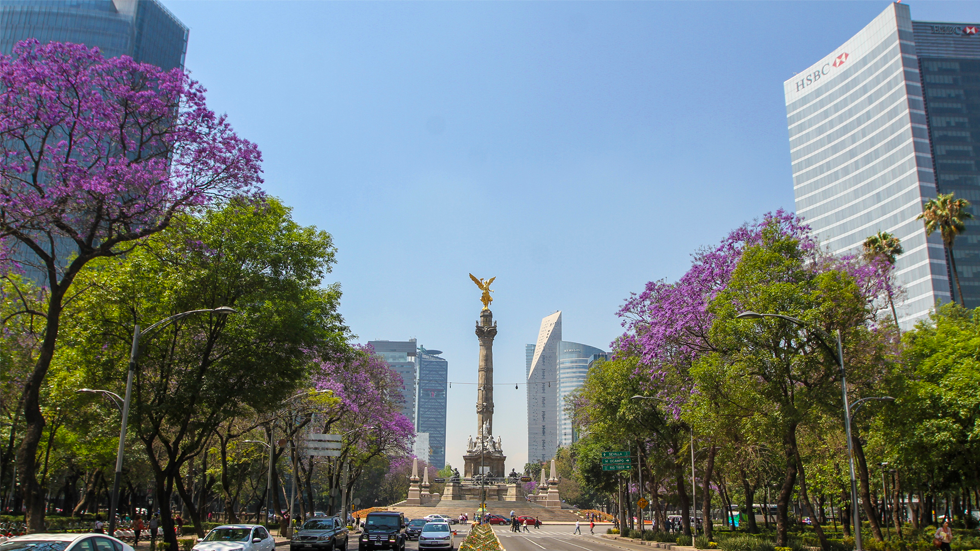 Al menos tres manifestaciones este sábado en la Ciudad de México Al menos tres manifestaciones este sábado en la Ciudad de México