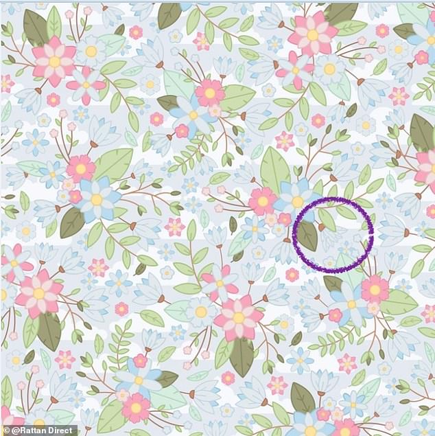 #RetoViral ¿Puede encontrar el plumero entre las flores? - solucion-reto-viral-1