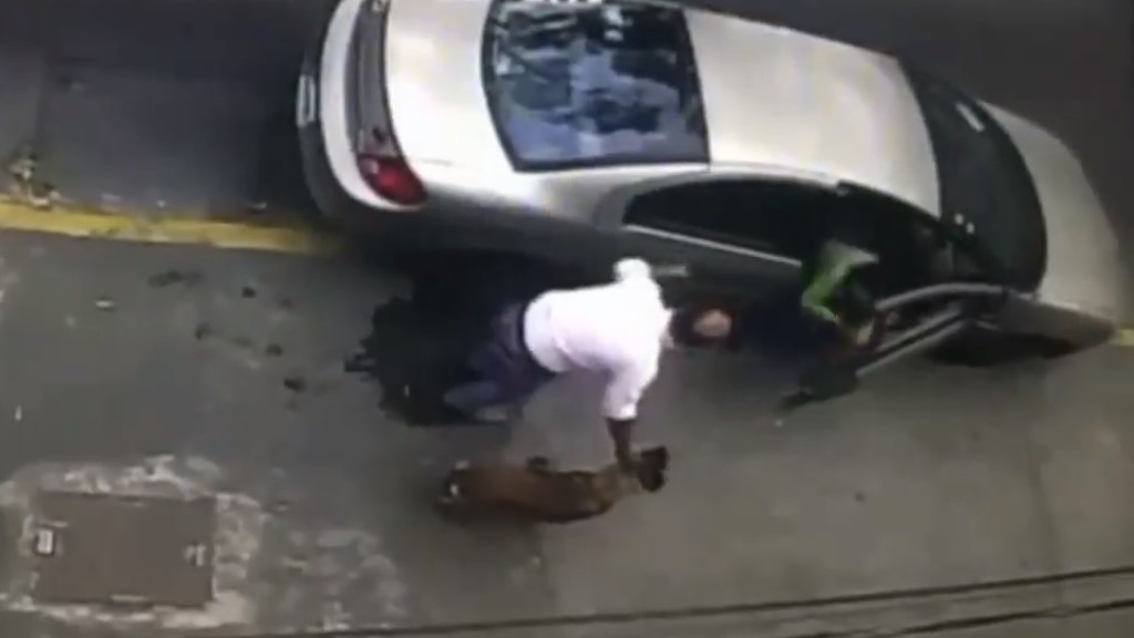 #Video Pareja ‘roba’ a Pastor Belga en Iztapalapa