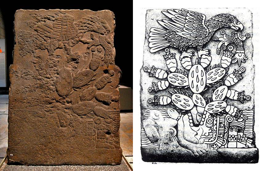 Historia viva: La guerra sagrada mexica y  el escudo nacional mexicano - teocalli3