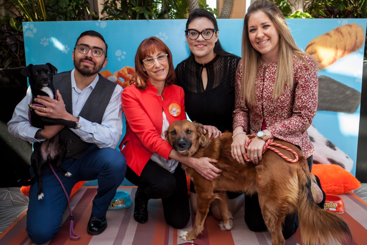 Personas que ayudan a perros y perros que ayudan a personas