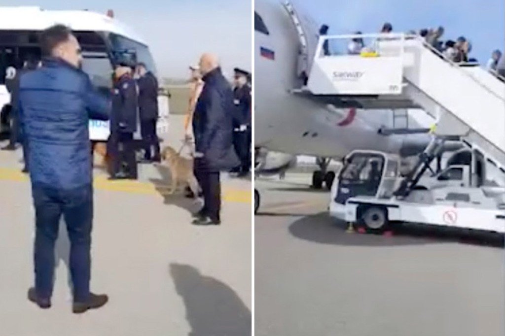 Avión ruso aterriza de emergencia en Bakú por amenaza de bomba - ural-airlines-baku