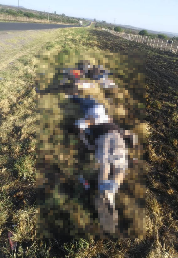 Hallan siete cadáveres a un costado de carretera de Jalisco - victimas-sobre-carretera-de-jalisco