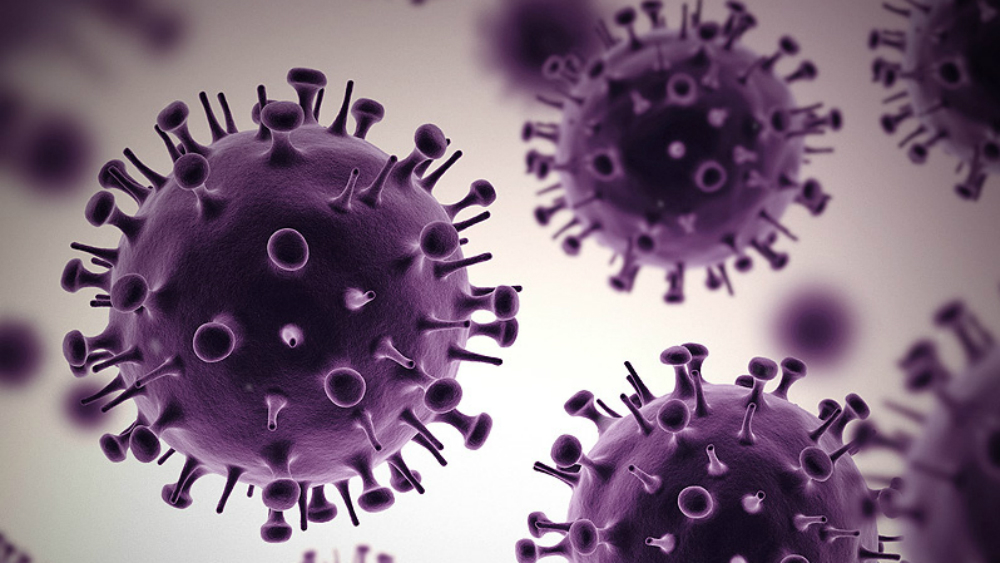 Descarta Gobierno de Tamaulipas que nueva cepa de coronavirus circule por México Descarta Gobierno de Tamaulipas que nueva cepa de coronavirus circule por México