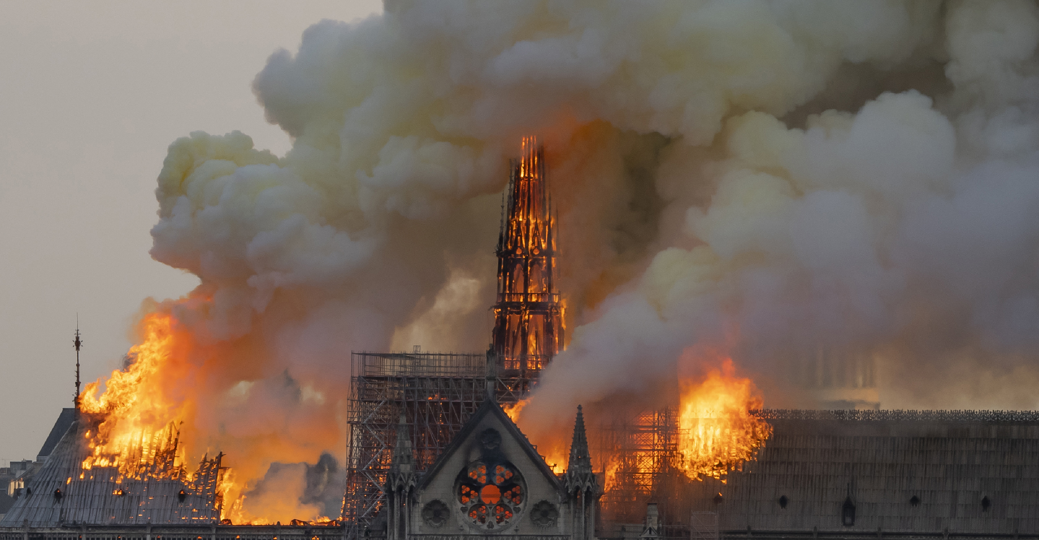 Falta de artesanos podría retrasar reconstrucción de Notre-Dame - 000-1fo4a5