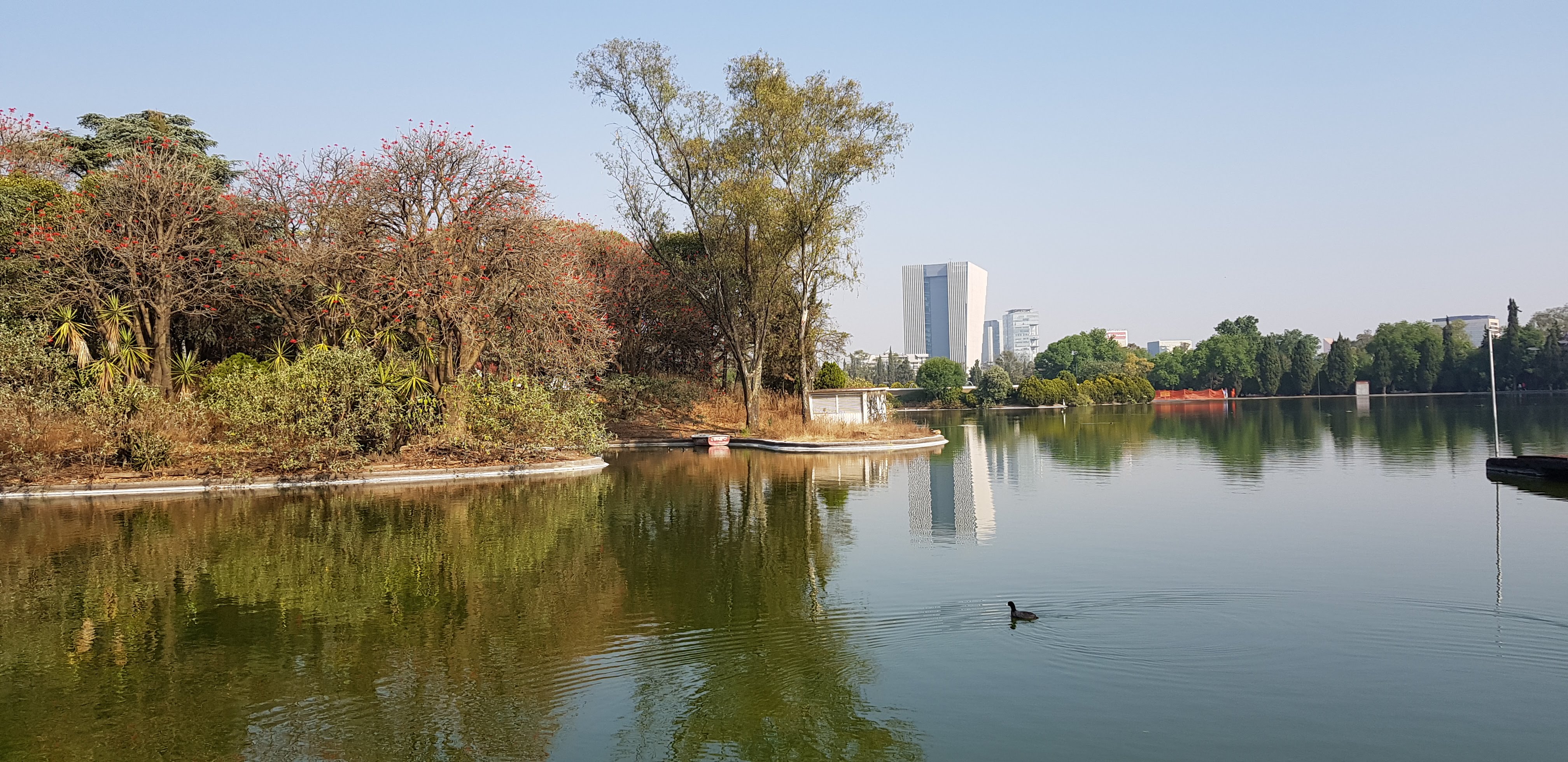 ¿De dónde viene el nombre de Chapultepec? - 20180321-085830