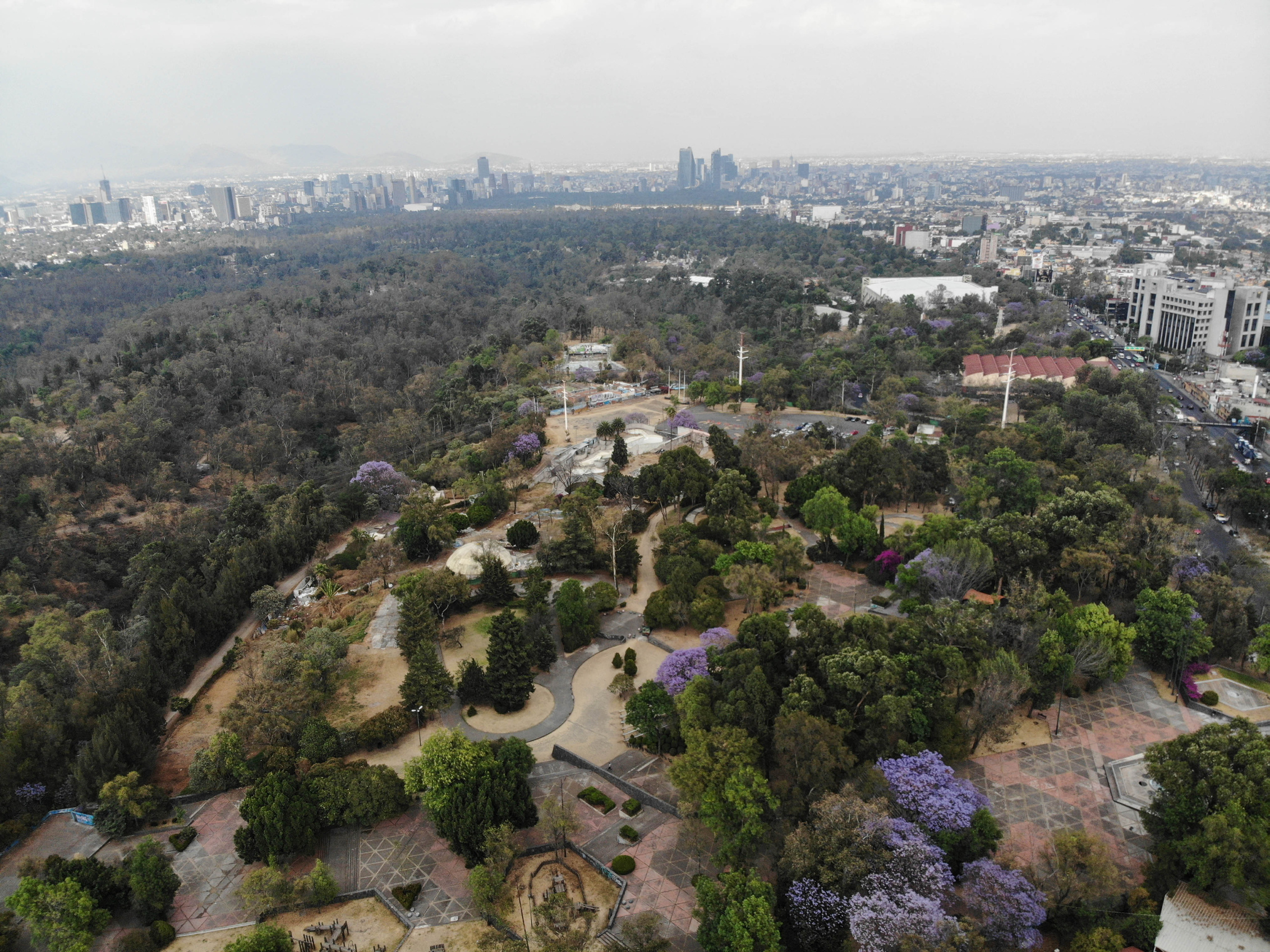 ¿De dónde viene el nombre de Chapultepec? - 90404148
