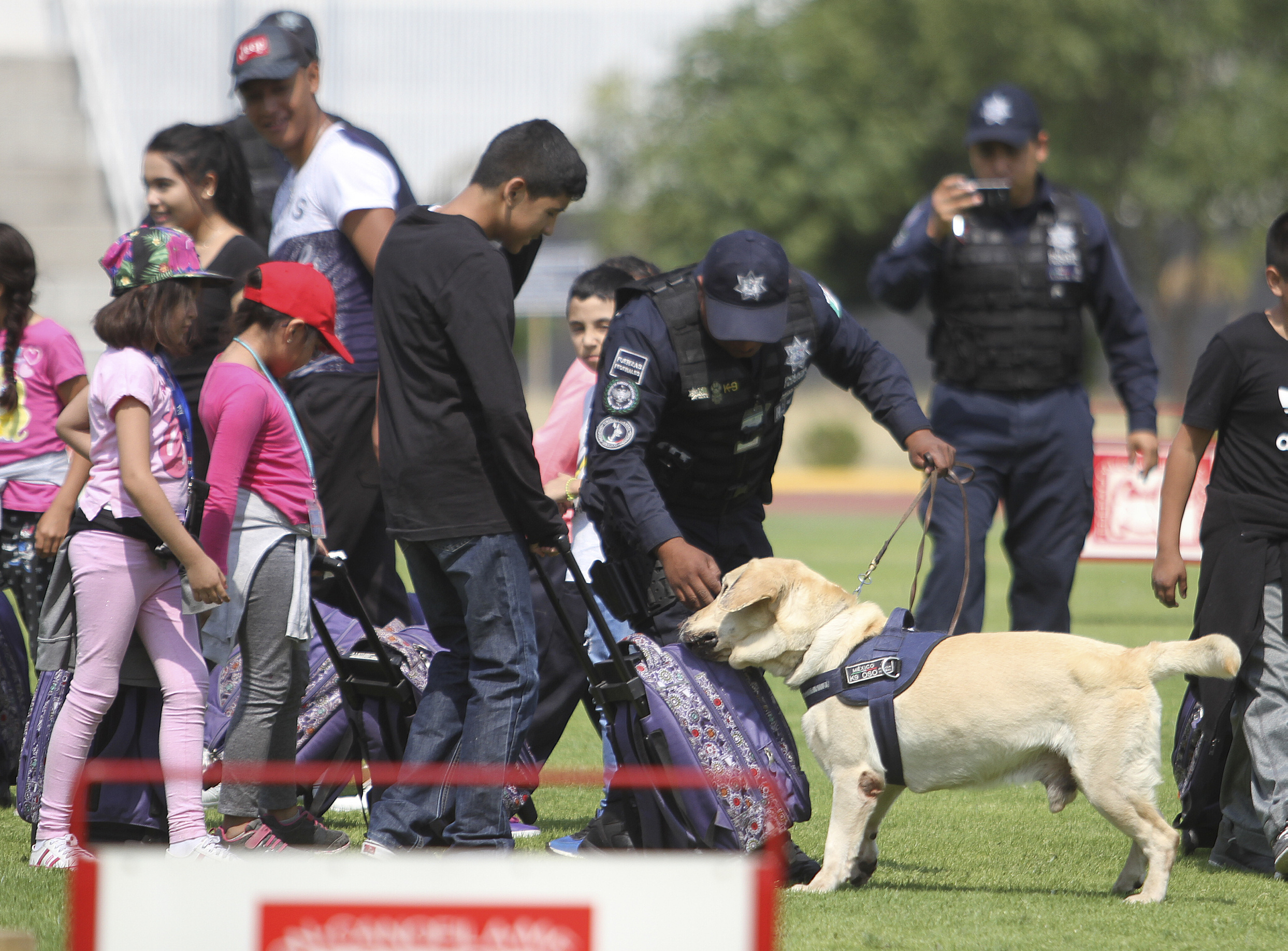 Unidad Canina de la Policía Federal celebra tres décadas de servicio - 90416050
