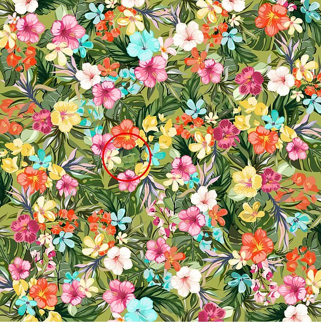 #RetoViral Encuentre la lechuga entre las flores tropicales - acertijo-flores