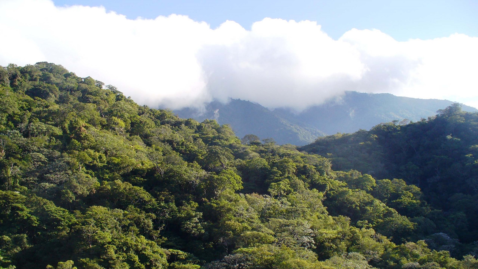 Áreas naturales de Chiapas y BCS tendrán nuevas medidas de protección