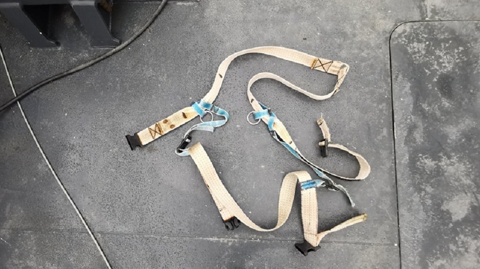 #Video Hallan a beluga supuestamente de la armada rusa - arnes-de-la-beluga