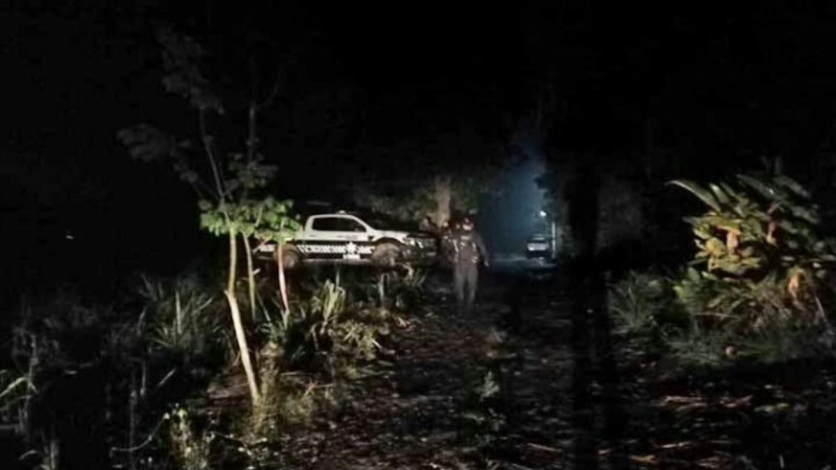 Encuentran cuatro cuerpos sin vida en Veracruz