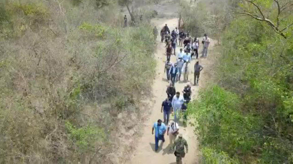 Hallan 36 fosas clandestinas en un solo predio en Veracruz