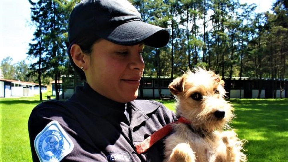 Brigada de Vigilancia de la CDMX acumula 147 rescates animales