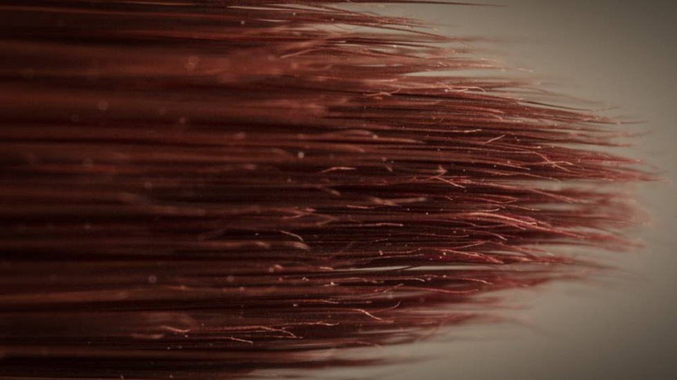 #RetoViral Adivine los objetos detrás de las fotografías - brocha-de-maquillaje