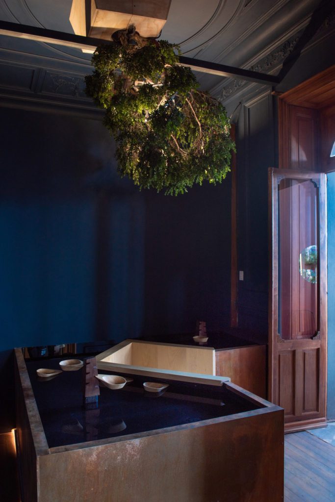 Recomendaciones para el fin de semana - camelia