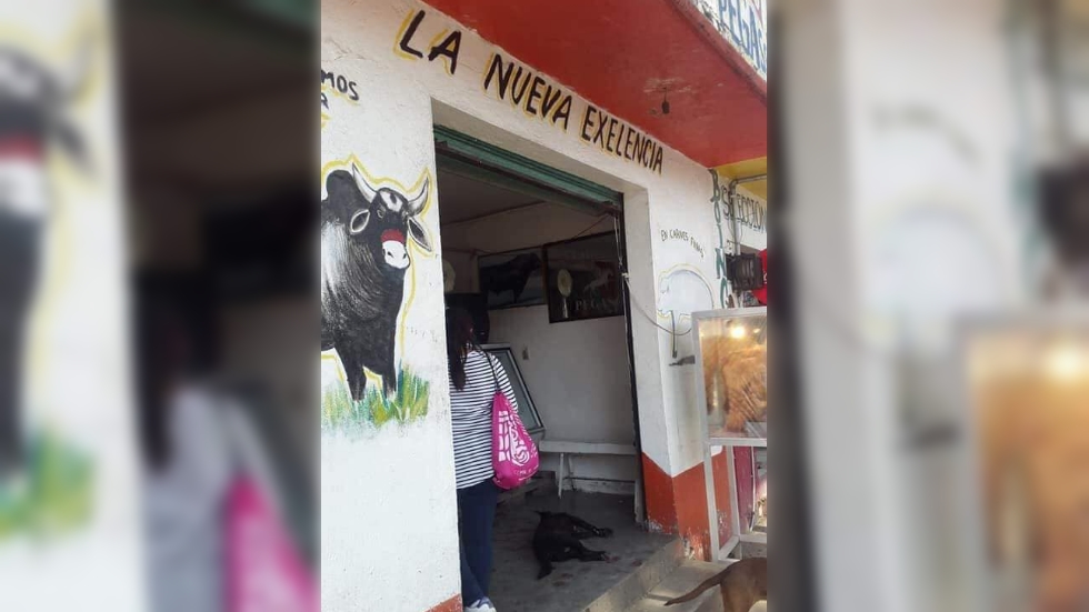 Denuncian a carnicero que presuntamente mató a perro en Chalco