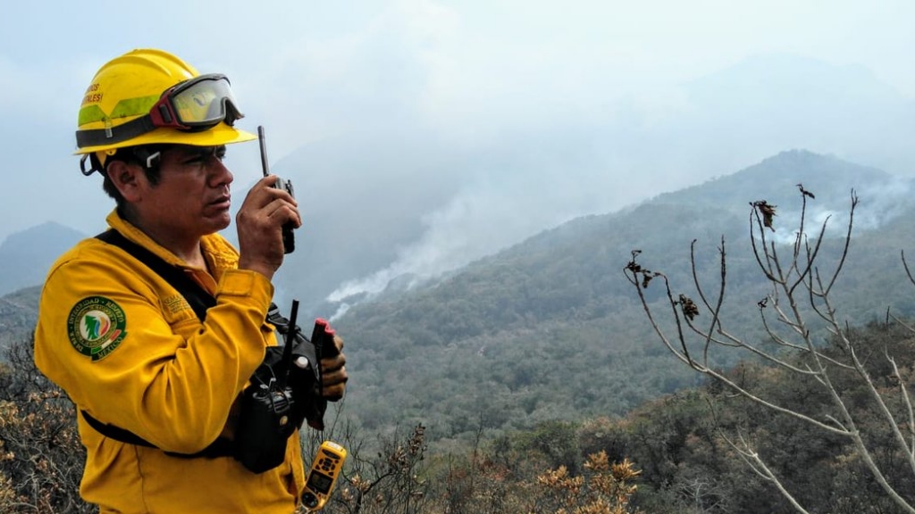 Hay 53 incendios activos en 16 estados de México: Conafor Hay 53 incendios activos en 16 estados de México: Conafor