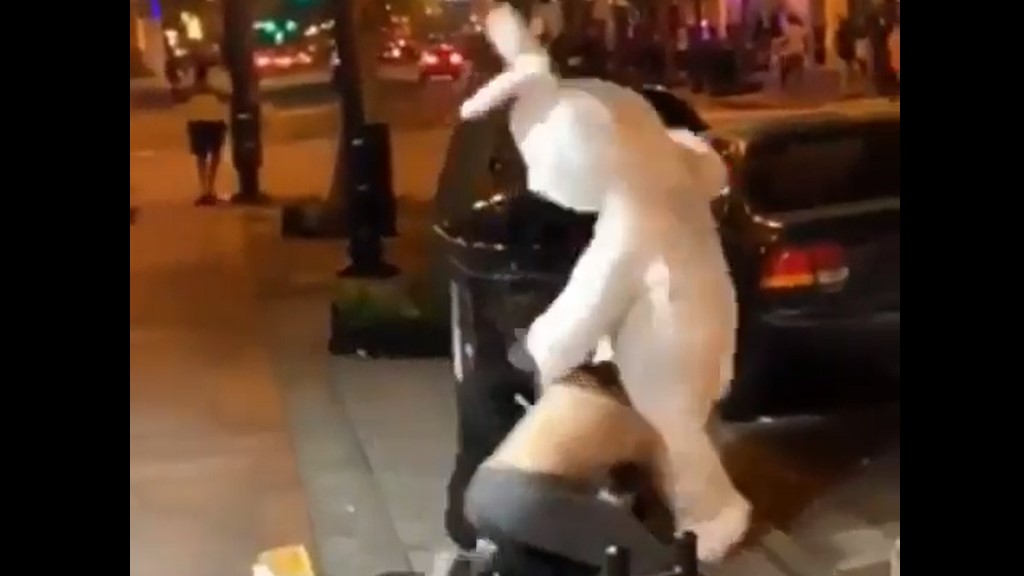 #Video Conejo de pascua ayuda a mujer a golpear a su pareja - conejo-interviniendo-en-pelea-de-pareja