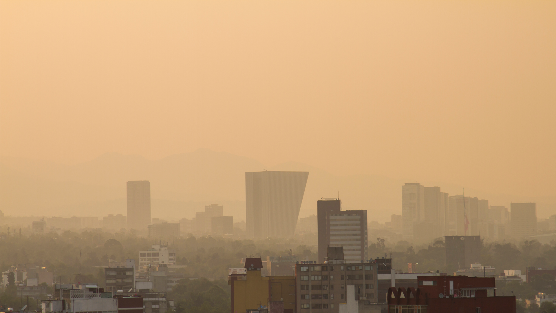 Se mantiene Fase 1 de Contingencia Ambiental en el Valle de México