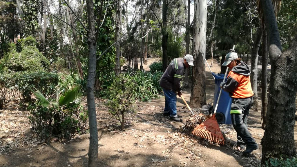 Alcalde de Cuajimalpa pide corregir error en tamaño de predio cercano a parque