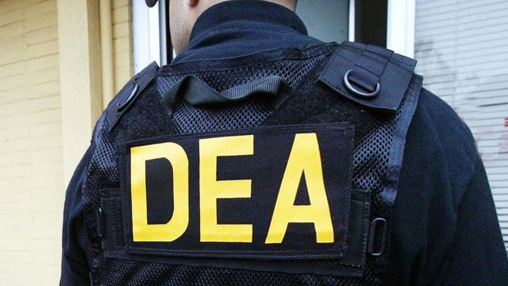 DEA advierte por alianza entre cárteles mexicanos y pandillas en NY