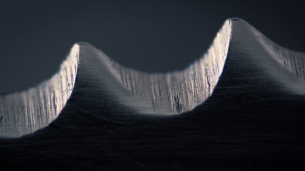 #RetoViral Adivine los objetos detrás de las fotografías - dientes-de-cuchillo