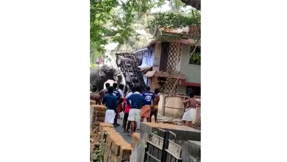 #Video Elefante escapa y causa destrozos en India