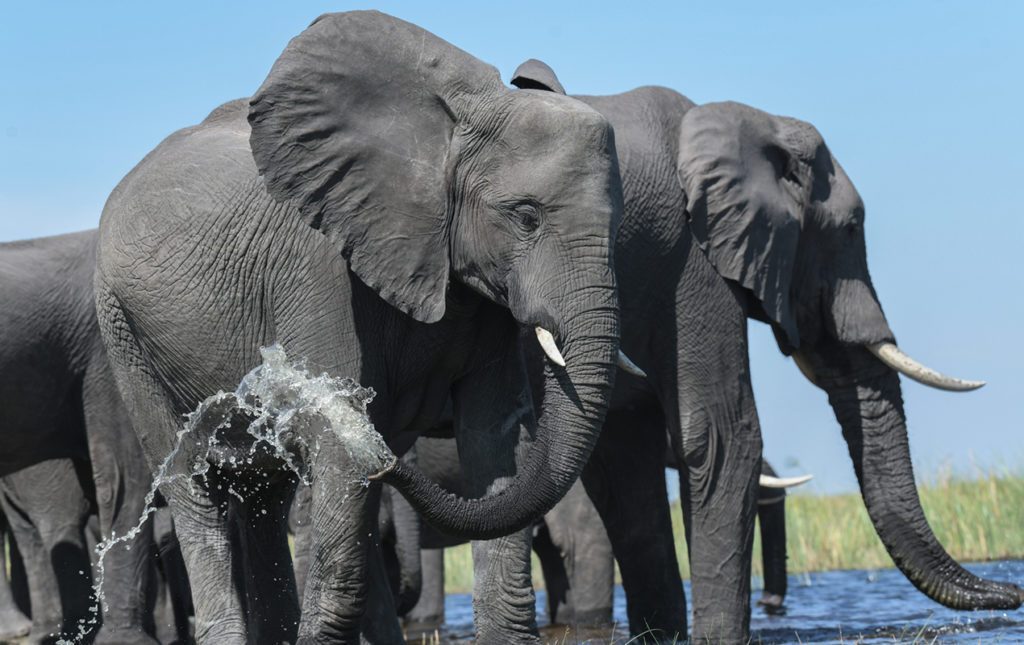 Un recorrido por África