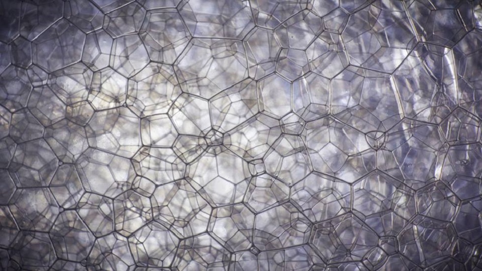 #RetoViral Adivine los objetos detrás de las fotografías - espuma-de-jabon