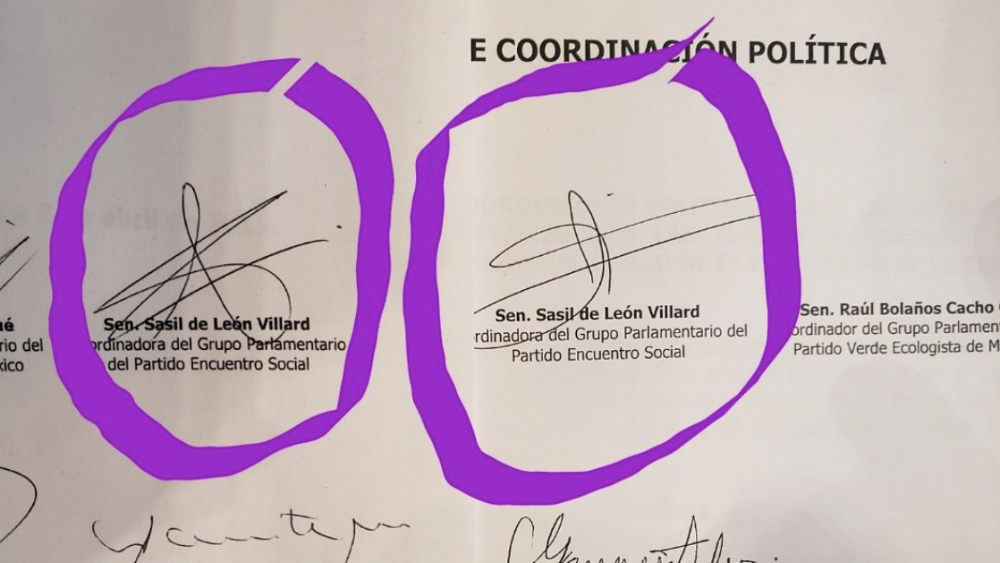 Acusa Acción Nacional falsificación de firmas en el Senado