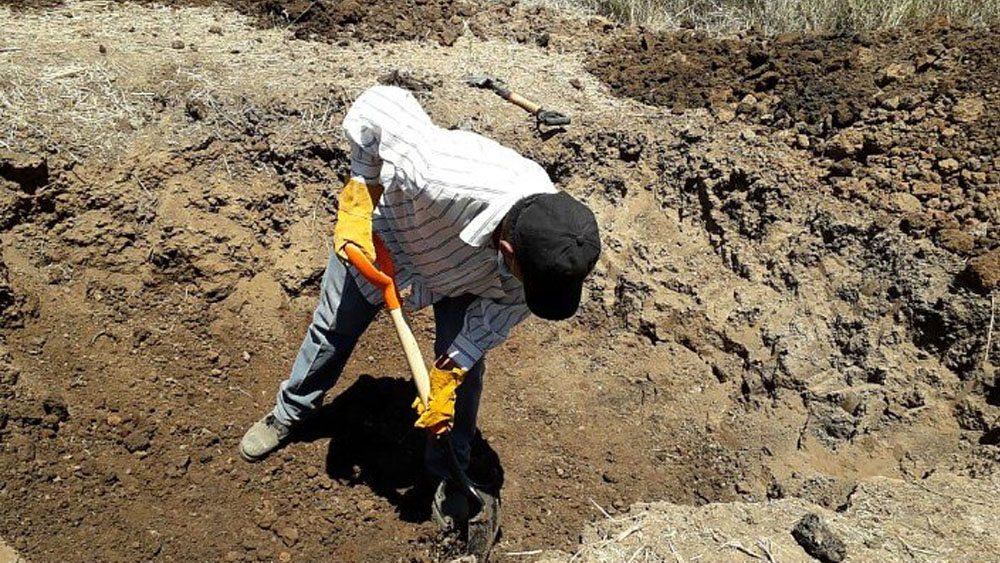 Suman 21 cuerpos exhumados de fosa clandestina en Nayarit