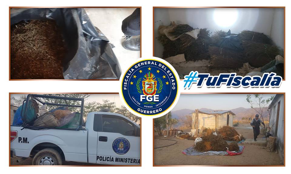 Aseguran 200 kilogramos de mariguana en Copalillo, Guerrero - guerrero-mariguana-copalillo