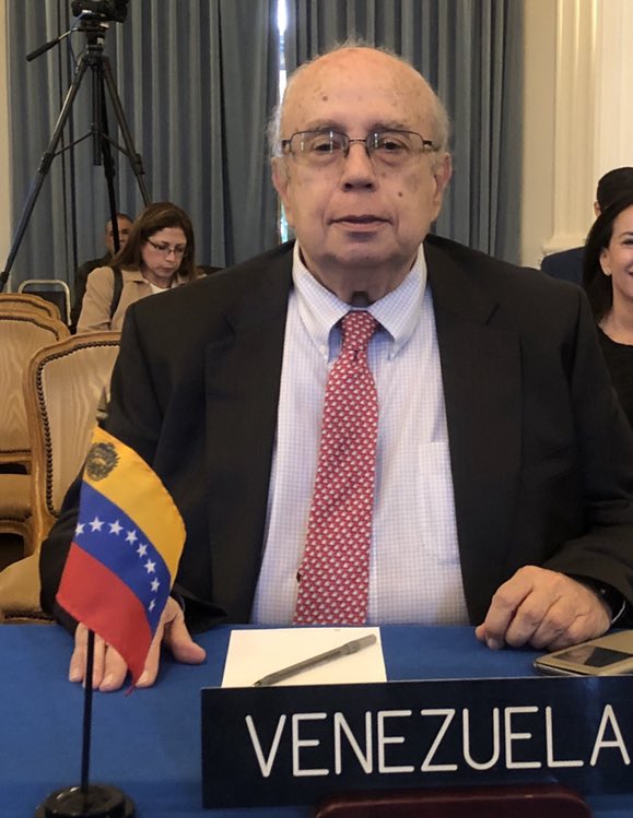 Representante de Guaidó arremete contra Maduro ante la OEA - gustavo-tarre-briceno-en-su-lugar-en-la-oea