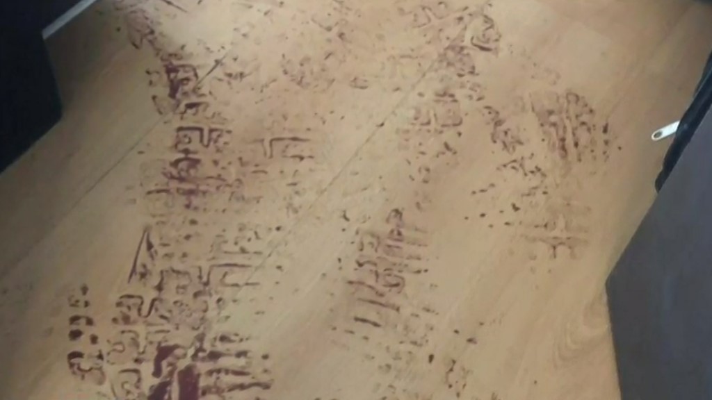 Ligan a joven detenido por narcomenudeo con feminicidio de su madre - huellas-en-escena-del-crimen