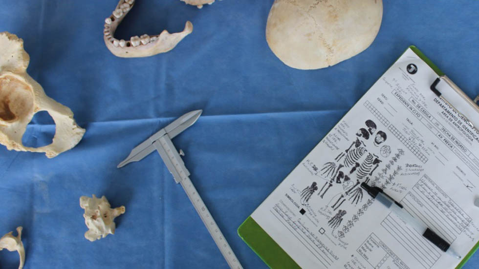 Incifo identifica 700 cadáveres en colaboración con el INE