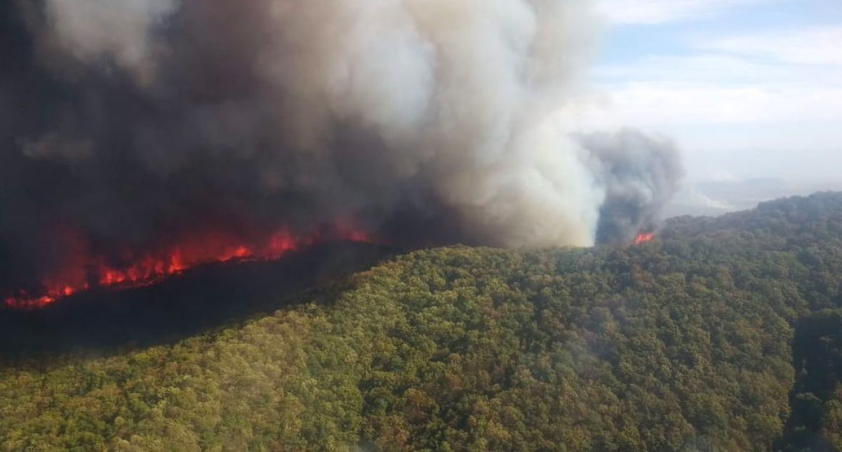 Contienen incendio en Bosque La Primavera, Jalisco