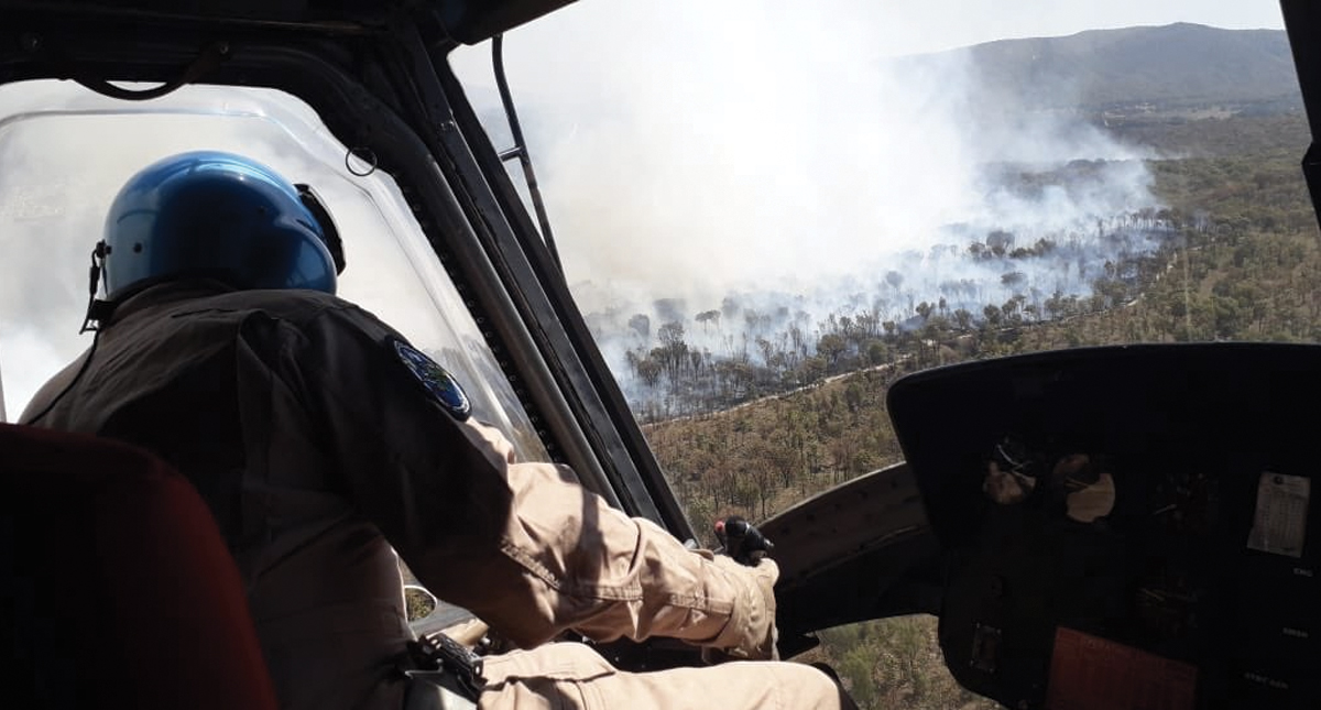 Nuevo incendio afecta al Bosque de la Primavera en Jalisco