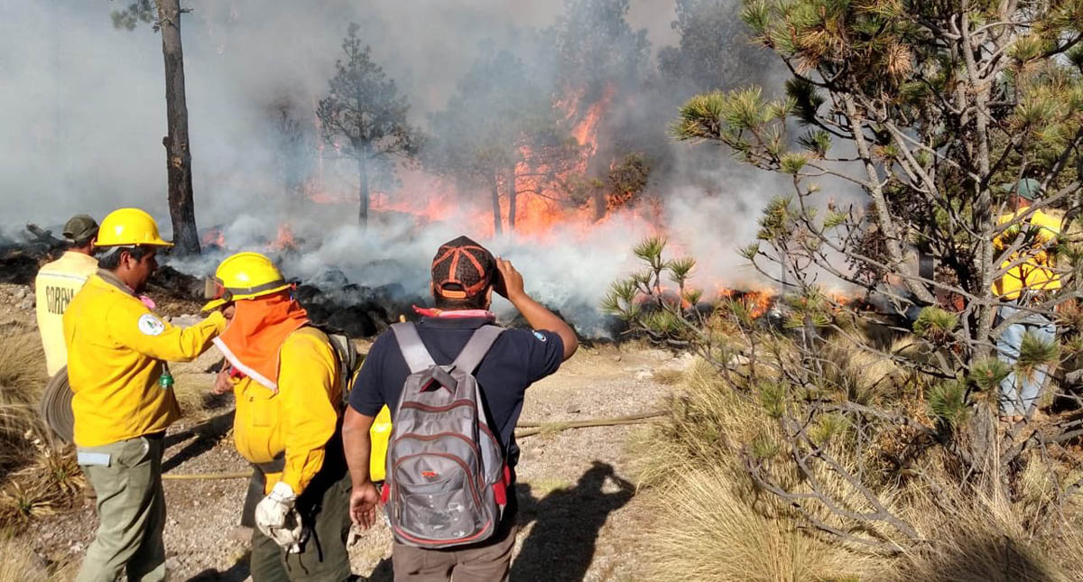 Continúan labores contra incendios en Los Dinamos y la Picacho Ajusco - incendio-en-los-dinamos