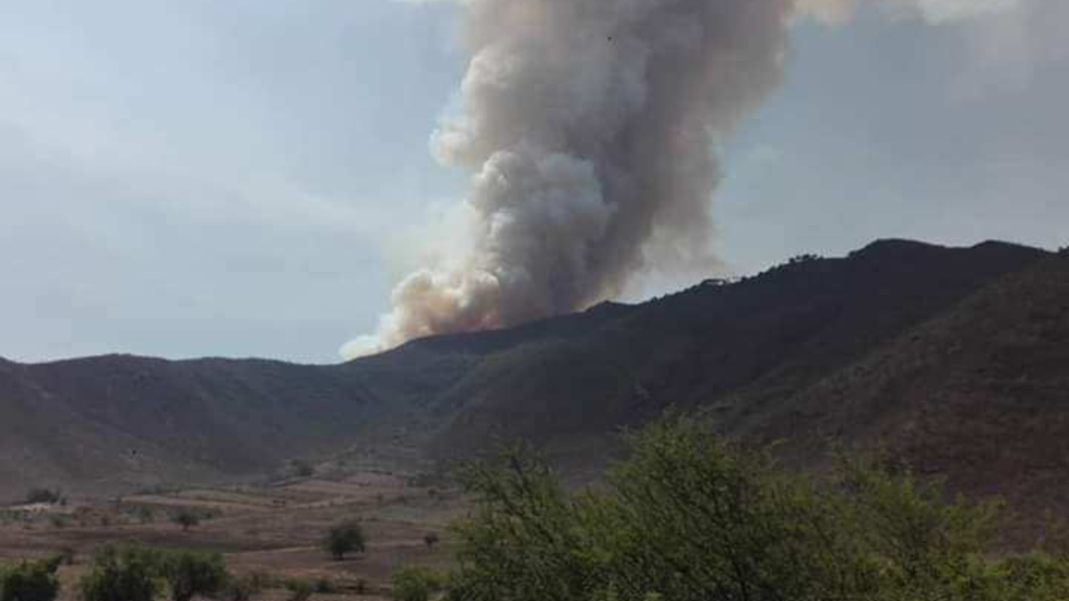 Evacuan a cien personas por incendio forestal en Veracruz