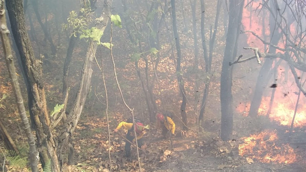 Otro incendio en el Bosque de la Primavera en Jalisco