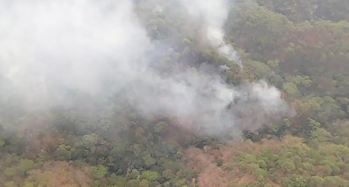 Continúan activos siete incendios en Los Chimalapas en Oaxaca