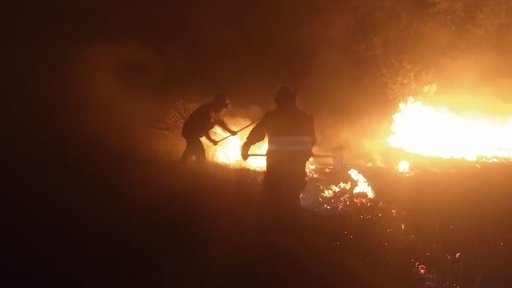 Bomberos combaten incendio en Xochimilco