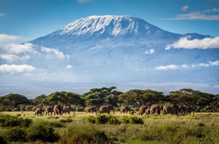 Los mejores lugares del mundo para el excursionismo - kilimanjaro