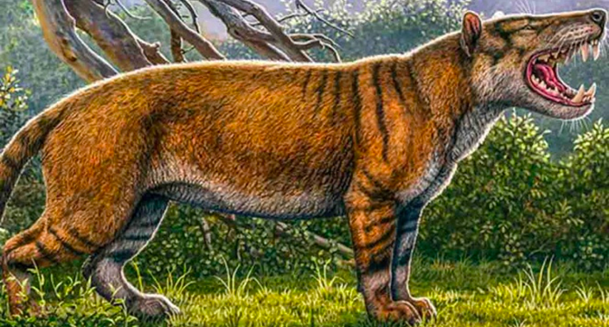 Descubren restos de uno de los mayores mamíferos terrestres en Kenia