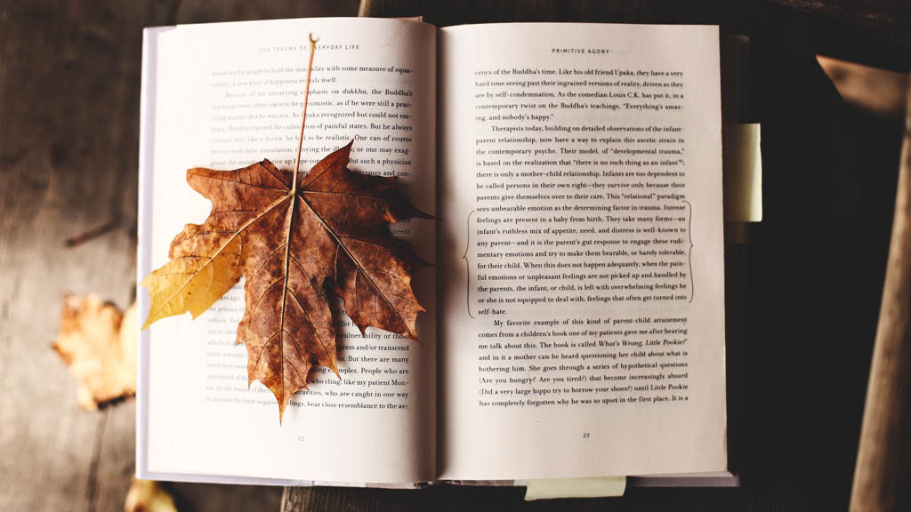 ¿Por qué se celebra el Día Mundial del Libro? - libreria-libros-libro-texto-2