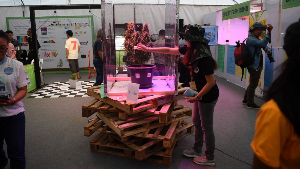 Realizan festival de mariguana en Tailandia tras legalización