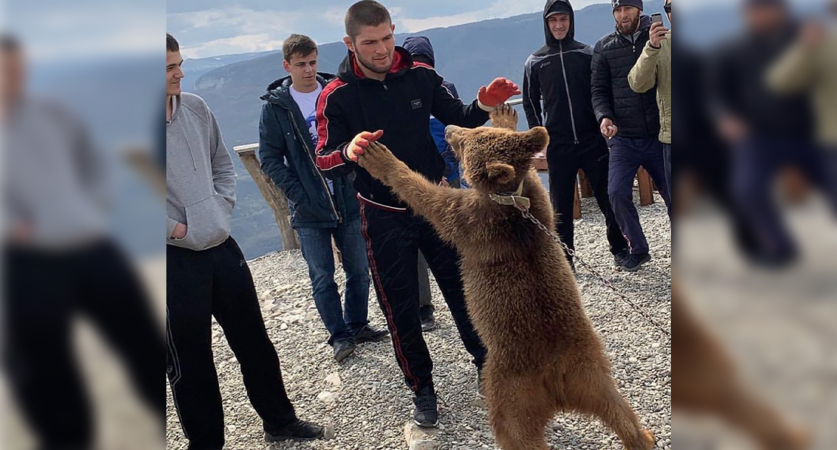 #Video Estrella de la UFC maltrata a oso encadenado