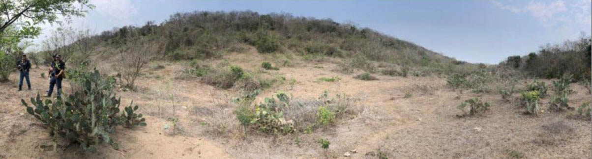 Hallan 36 fosas clandestinas en un solo predio en Veracruz - panoramica-del-predio